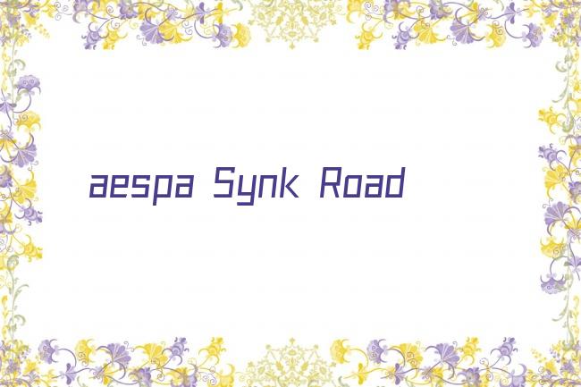aespa Synk Road剧照